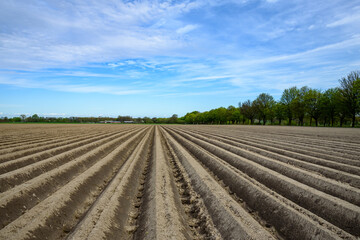 Spring field in the suburbs of Germany