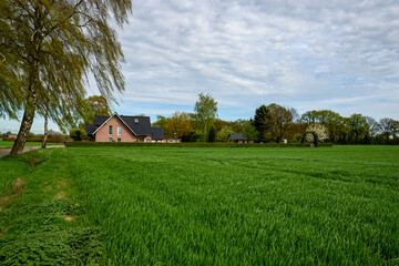 Fototapeta premium Spring field in the suburbs of Germany