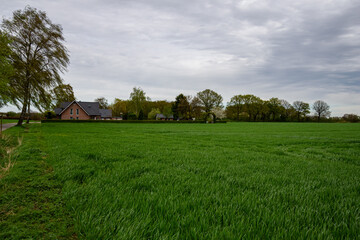 Obraz premium Spring field in the suburbs of Germany