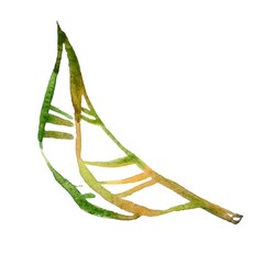 Handcrafted watercolor illustration of a single twisted green leaf with delicate, swirling lines. Natural and elegant, perfect for eco-friendly, botanical, and nature-inspired designs.