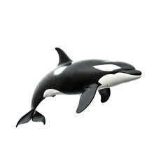 Fototapeta premium Dolphins jumping in the water, isolated on a transparent background