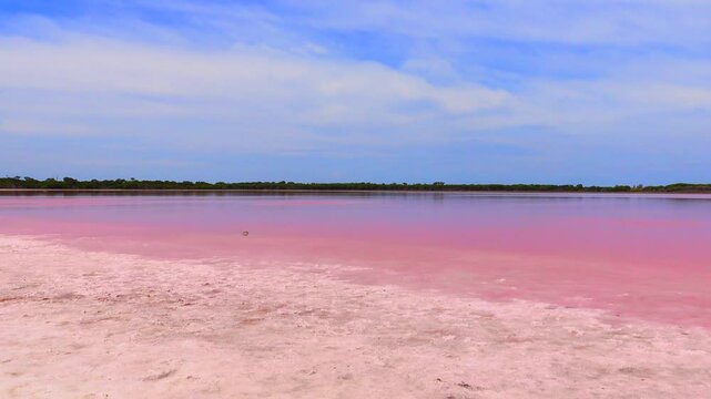 Dimboola pink lake Nature Reserve of western Victoria, Australia,  the Pink Lake gets its vibrant colour from a salt tolerant alga living in the salt crust.