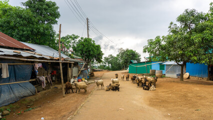 Fototapety na wymiar - Fototapeta24.pl