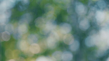 Tree With Green Bright Leaves With Blue Sky At Background. Soft Focus To Fresh Green Leaves Against Blue Sky In Summer Sunny Day. Bokeh.