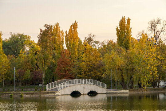 autumn in the park, Bordei Park, Bucharest City, Romania 