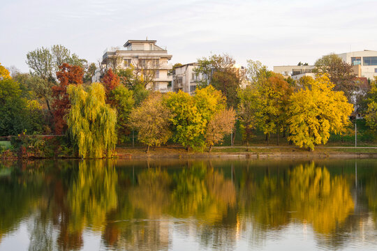 autumn in the park,  Bordei Park, Bucharest City, Romania 