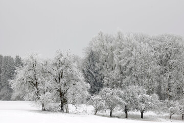 Winterlandschaft, Schnee, Raureif