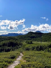 Fototapeta premium Mountain