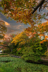 千秋公園の風景