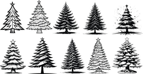 Obraz premium Christmas Tree