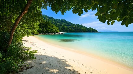 Serene Tropical Beach Paradise, sand, water, foliage, nature