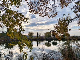 autumn, view, morning, nature, park, spain, trees, colors, leave