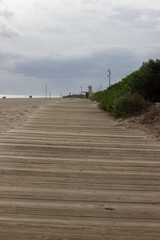 Wooden path along the sandy shore. Green bushes along the path. Sand dunes.