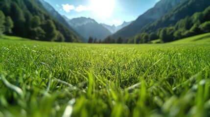 A vast, sunlit green meadow stretches beneath a bright blue sky. This idyllic scene embodies...