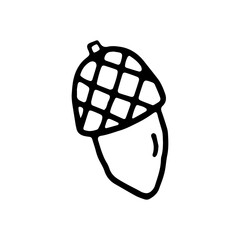 Acorn fruit, nut. Autumn forest. Oak Grove. Doodle. Vector illustration. Hand drawn. Outline.