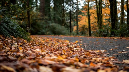 A winding path covered in vibrant fallen leaves under tall trees in shades of red, yellow, and orange, creating a picturesque autumn landscape.