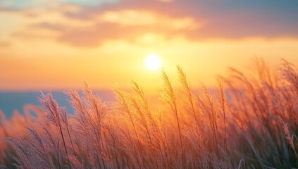 Naklejka premium plants on sunset background with blurred background, pastel colors, soft pleasant background