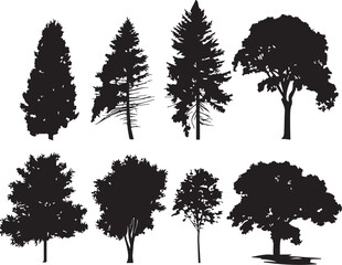 Set Trees. Hand drawn vector illustration	