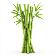Obraz premium Fresh Green Bamboo Stalks with Leaves
