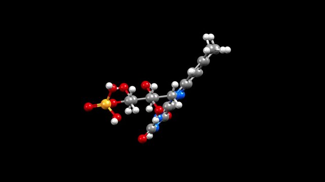 Structure of flavin mononucleotide. Animated 3D ball-and-stick and space-filled models, black background