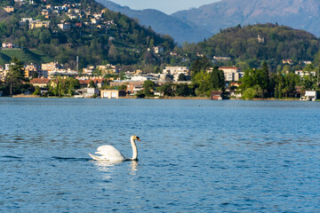 Promenade of Lugano with the beautiful scenery of lake Lugano, canton of Ticino, Switzerland