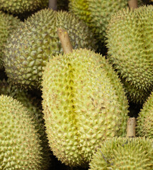 A bunch of green durians with many spikes