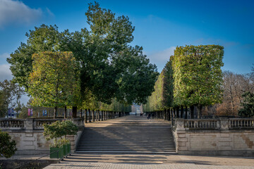 Fototapeta premium Paris, France - 11 01 2024: Tuileries garden. View of a wide pathway lined with trimmed and wild trees and a wide stone staircase in front.
