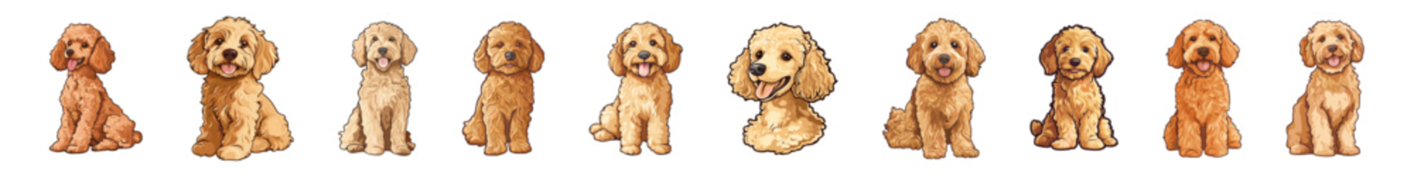 The collection of golden doodle dog. Set of goldendoodle dogs for graphic, content, etc. Cute golden labradoodle puppy. Vector illustration of a  dog. Vector of poodle dogs design.