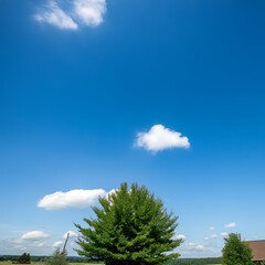 Obraz premium Open Blue Sky