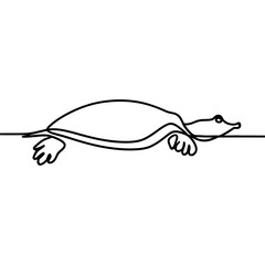 Obraz premium Softshell Turtle Line Drawing