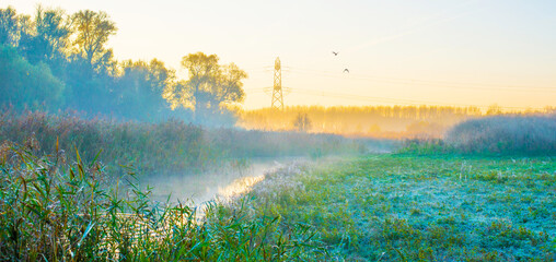 Birds flying in a blue sky in autumn at a misty yellow sunrise,  Almere, Flevoland, The...