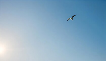 Obraz premium Open Blue Sky