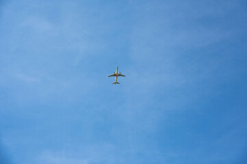 Airplane in the sky