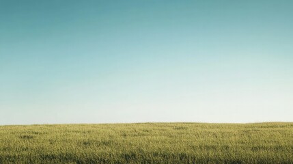 Blank billboard on the edge of a grassy field with clear skies, ideal for outdoor brand promotion