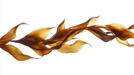 Abstract Brown Seaweed Waves on White Background