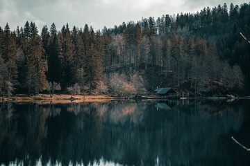 Obraz premium Serene forest landscape with cabin by calm lake.