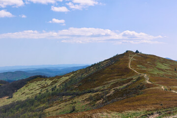 Fototapeta premium landscape with blue sky