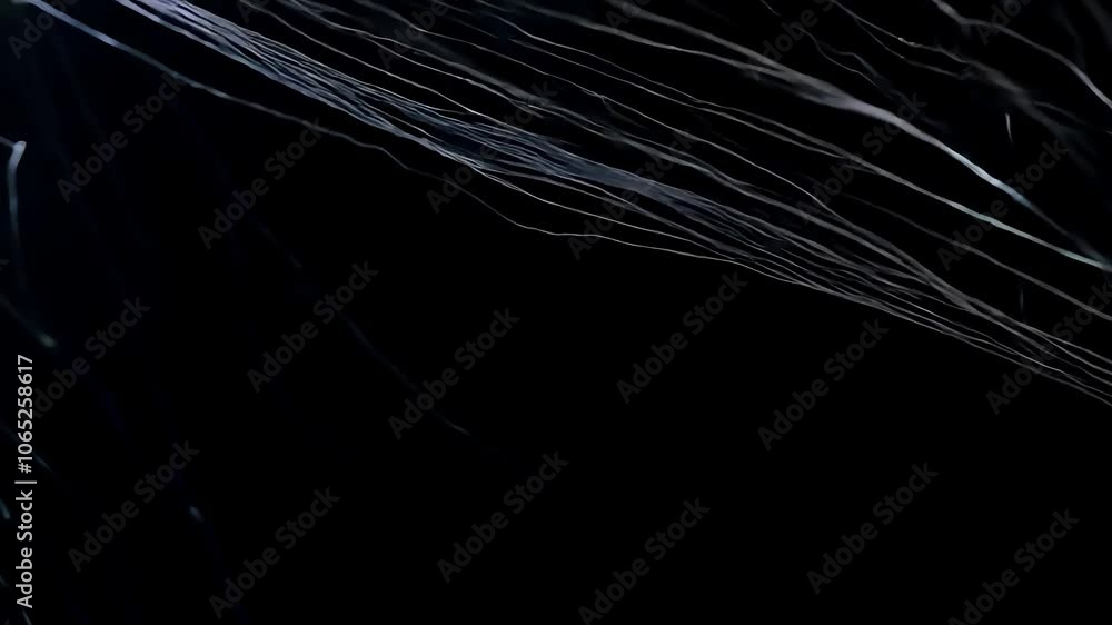 Poster thin white fibers flowing against a black background. the fibers create a beautiful and abstract pat