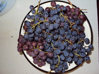 red grapes on a plate