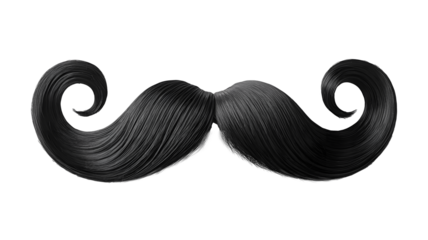 Black mustache isolated on a white background. PNG transparent.