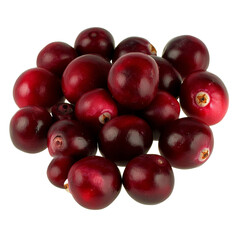 Fototapeta premium Fresh cranberries gathered in a rustic setting isolated transparent