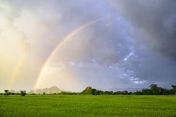 Beautiful rainbow shining over the rice field as the sky fills with rain clouds, countryside, Neon Maprang district, Phitsanulok, Thailand