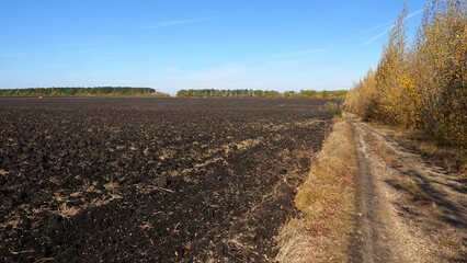 Dirt road along a plowed field
