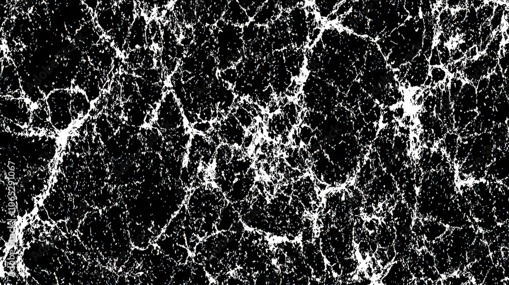 Poster black and white textures that form intricate, web-like patterns, evoking a sense of depth and complexity in design