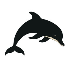 Fototapeta premium dolphin illustration