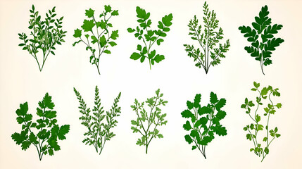 A collection of ten green leafy branches, isolated on a white background.