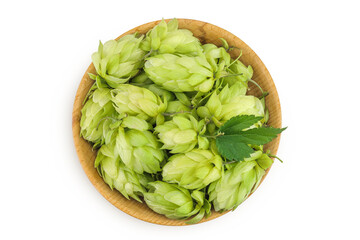 Hop cones in wooden bowl isolated on white background. Beer brewing ingredients. Top view. Flat lay