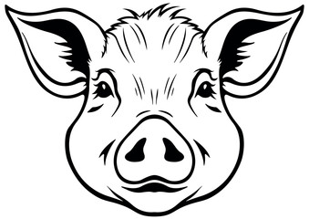 Black Drawing of Piggy Head Isolated on White Background - Illustration from Front View, Vector