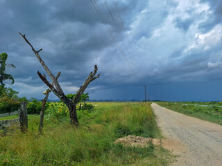 Dirt road and storm cmouds