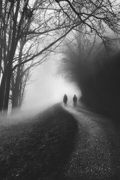 Brouillard